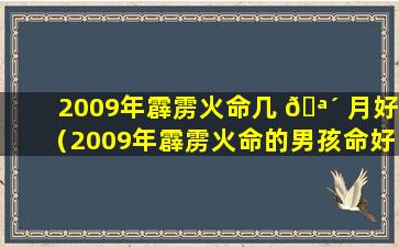 2009年霹雳火命几 🪴 月好（2009年霹雳火命的男孩命好吗）